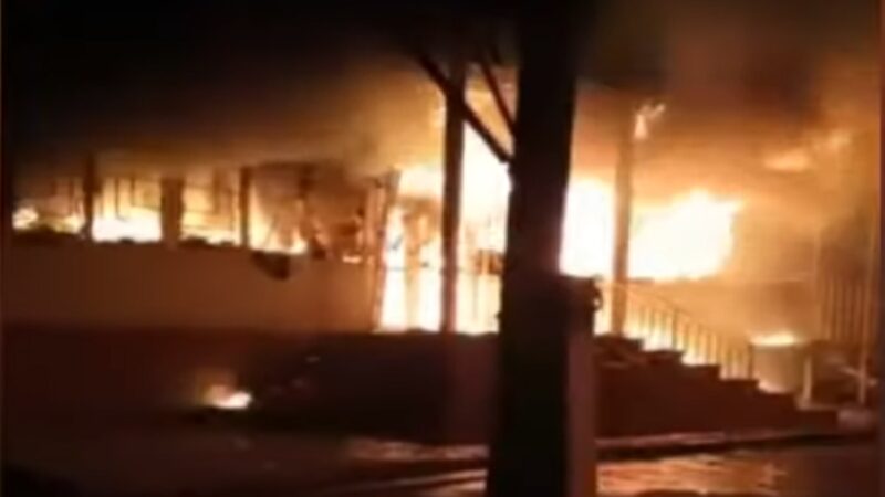 1-119-800x450.jpg 1-119-800x450.jpg