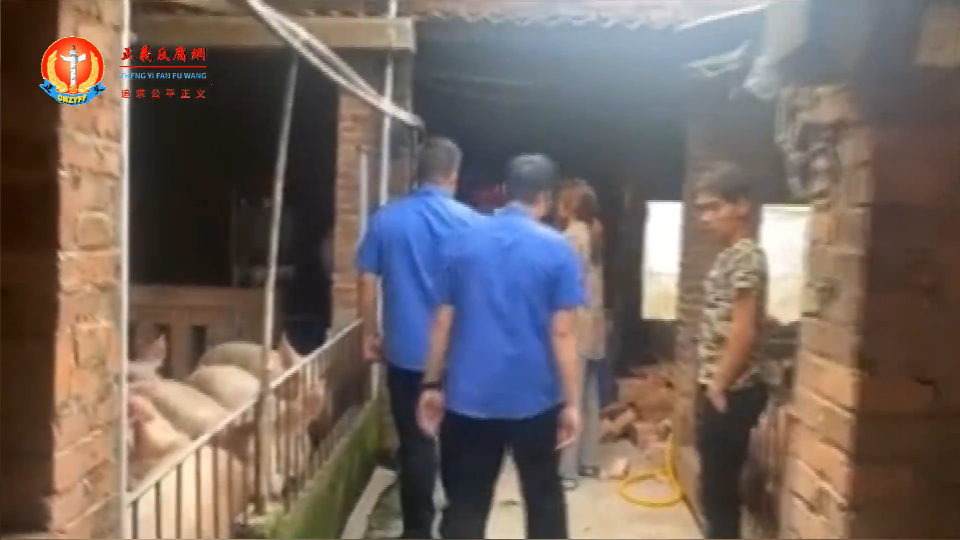 广东茂名市化州市东山街道博金藏尾村猪舍遭强拆,当事村民表示无任何赔偿。.png 广东茂名市化州市东山街道博金藏尾村猪舍遭强拆,当事村民表示无任何赔偿。.png