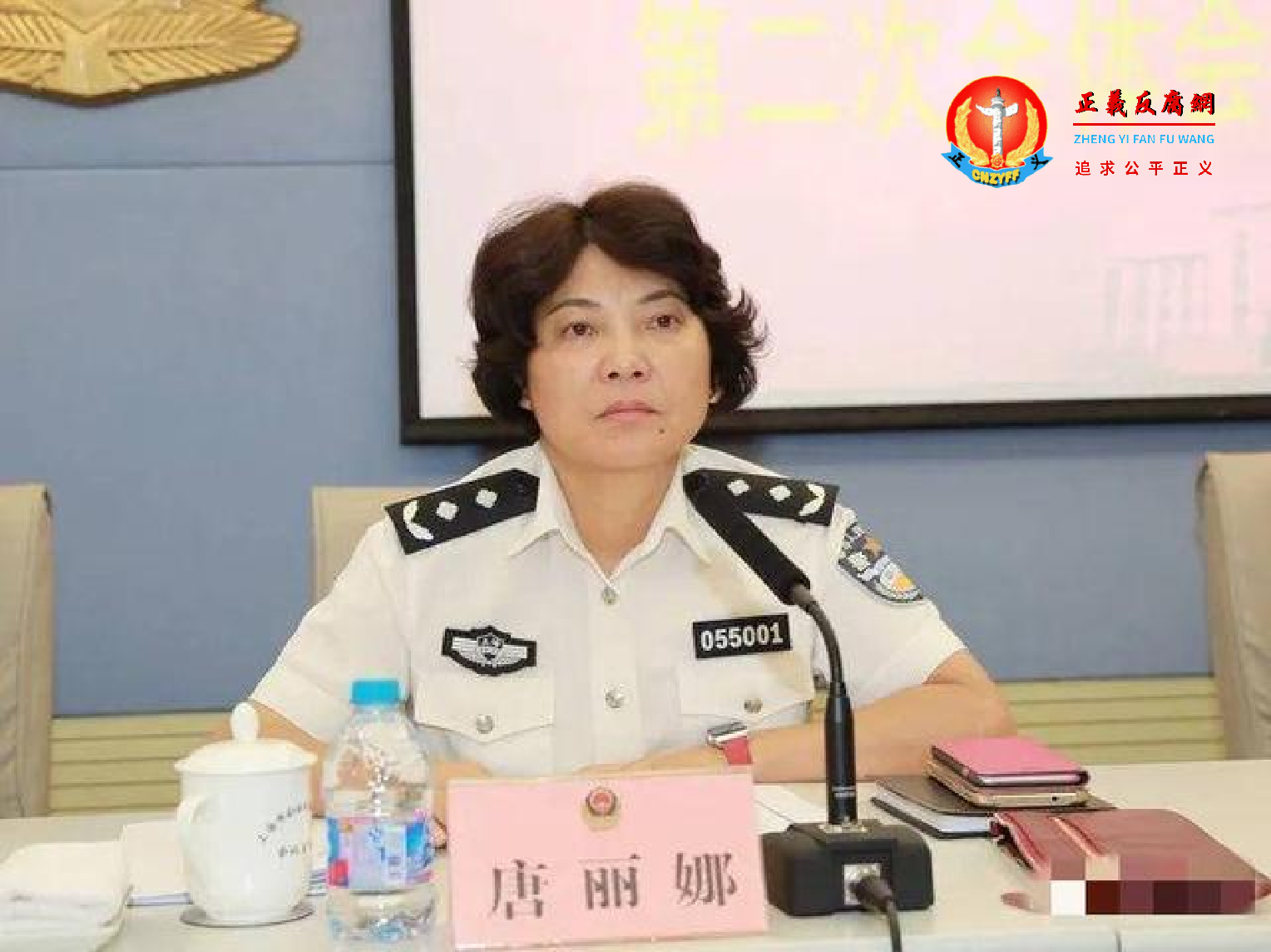 上海市奉贤区副区长、市公安局奉贤分局局长唐丽娜落马。.png 上海市奉贤区副区长、市公安局奉贤分局局长唐丽娜落马。.png