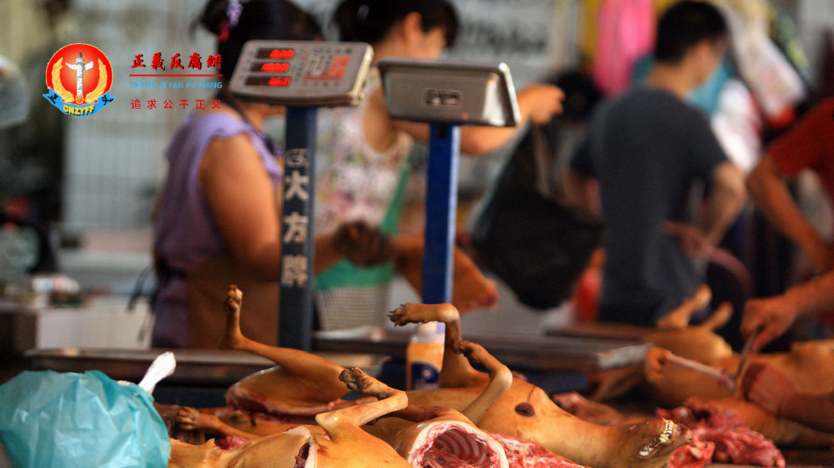 每年大约有1000万只狗被人吃下肚。.png 每年大约有1000万只狗被人吃下肚。.png